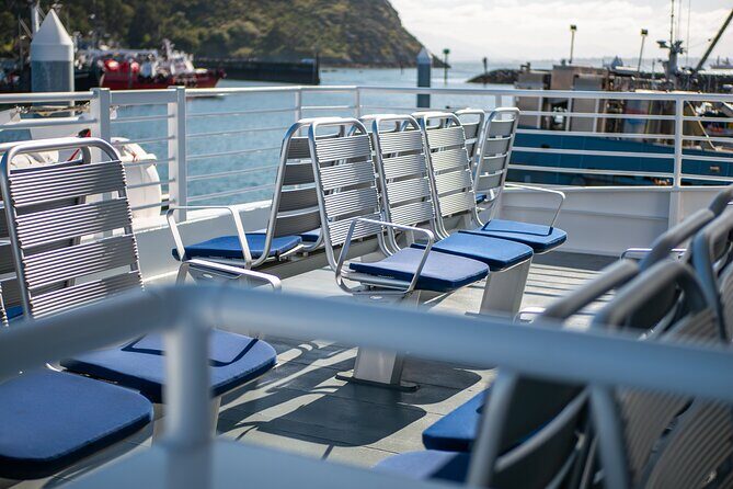 Guaranteed Whale Watch Tour from Anacortes - Authenticity and Practical Tips