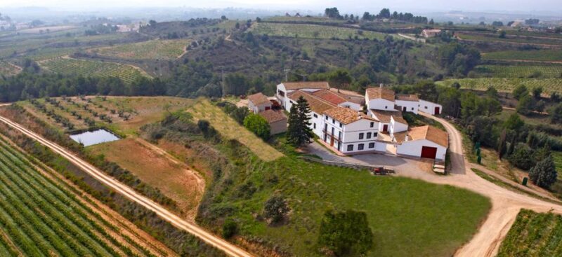 Guardiola de Font-Rubí: Winery & Grill Menu Tour - The Experience in Detail