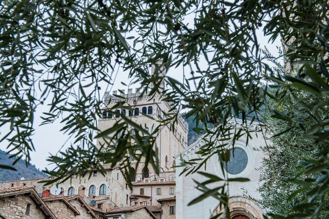 Gubbio: Private walking tour with official guide - FAQ