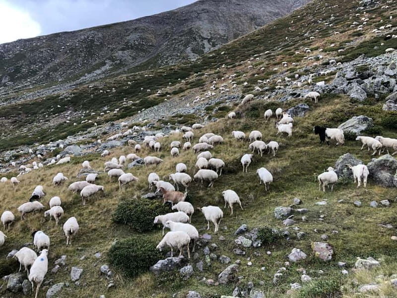 Gudauri and Kazbegi: Private Day Trip from Tbilisi - Key Points