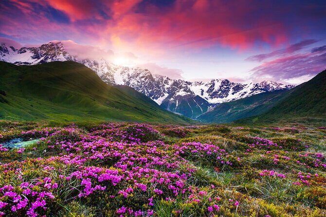 Gudauri-Jinvali-Ananuri Private tour - A Deep Dive into the Itinerary