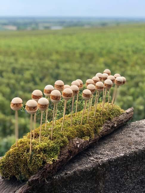 Gueberschwihr: wine tasting course with 12 wines and 5 appetizers - A Deep Dive into the Gueberschwihr Wine Tasting Experience