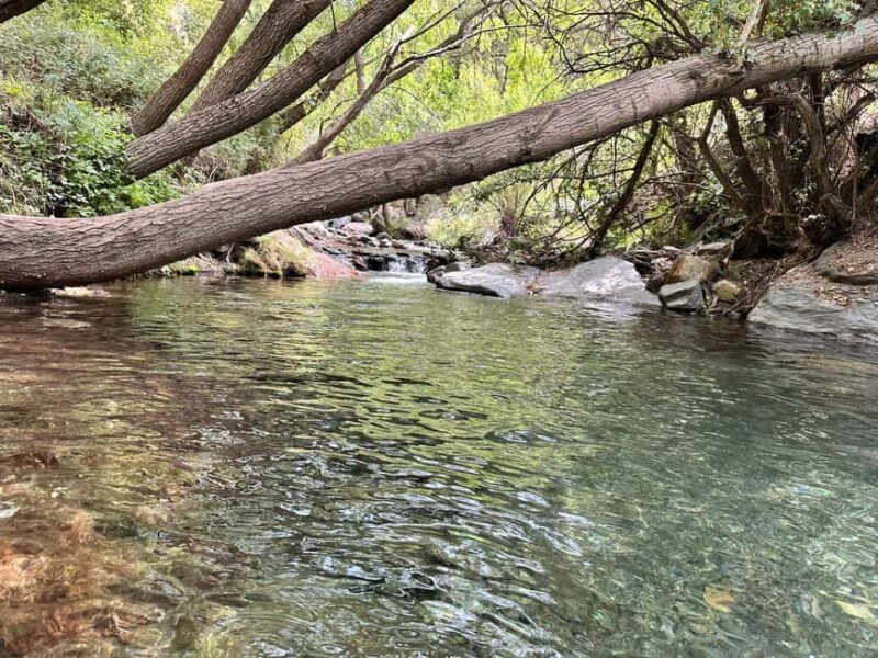 Güejar Sierra: History and food of Sierra Nevada - Authentic Insights from Reviews