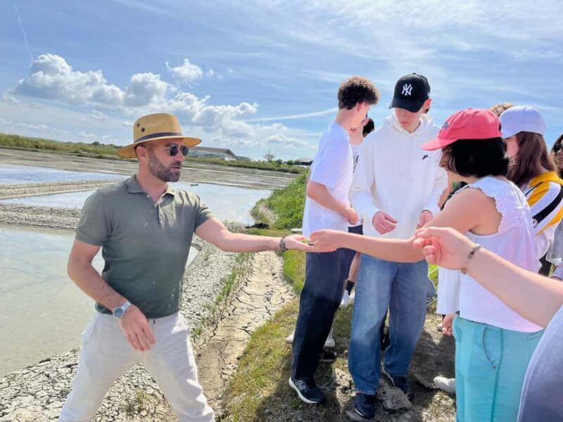Guérande Salt Marshes tour - Practical Tips for Making the Most of Your Tour