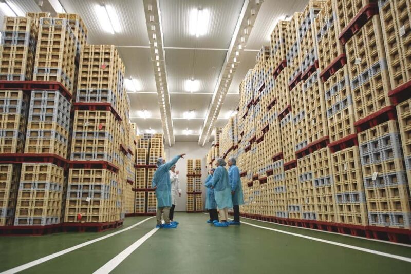 Guide Visit to the old Cheese Factory - An In-Depth Look at the Cheese Factory Tour