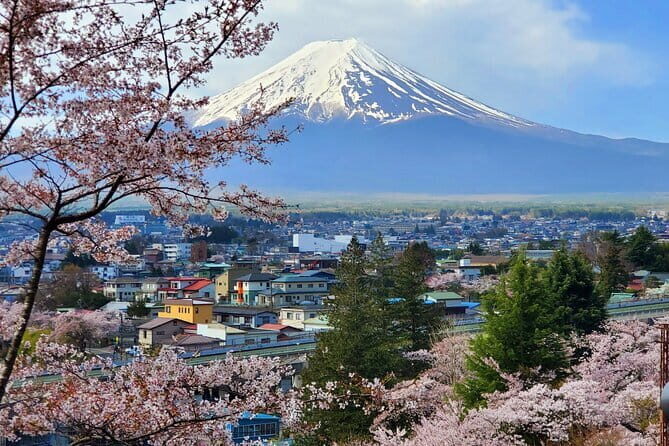 Guided 3 Days Tour Tokyo, Mt. Fuji and Hakone GREEN NUMBER PLATE - Transportation, Value, and Practical Tips