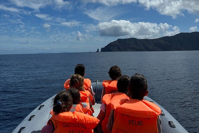 Guided activity in the Heart of Azores with whales and dolphins - Why this tour is a great pick