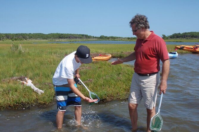 Guided Assateague Kayaking and Wildlife Discovery Tour - Dive Into the Assateague Kayaking Adventure