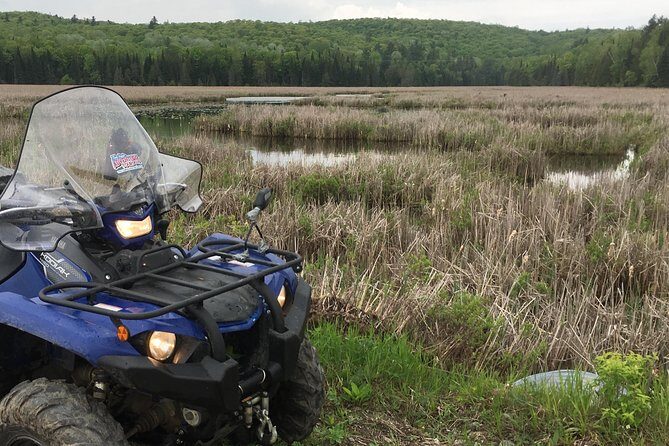 Guided ATV Tour in Calabogie with Lunch - The Experience Providers: Who’s Behind It?