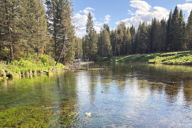 Guided ATV Tours and Explore Hidden Gems in the Yellowstone area - Key Points