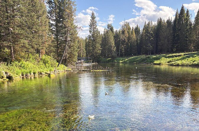 Guided ATV Tours and Explore Hidden Gems in the Yellowstone area - Who This Tour Is Best For