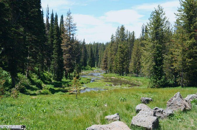Guided ATV Tours and Explore Hidden Gems in the Yellowstone area - The Sum Up