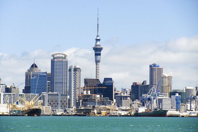 Guided Auckland Highlights Half Day City Tour - Key Points