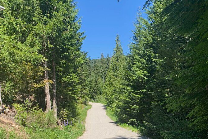 Guided Bike /E-bike Tour in Whistler From Vancouver - The Itinerary: What to Expect on Your Day in Whistler