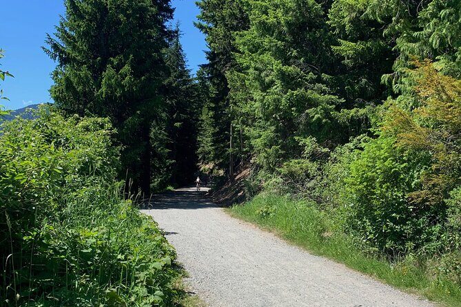 Guided Bike /E-bike Tour in Whistler From Vancouver - Final Thoughts: Who Should Consider This Tour?