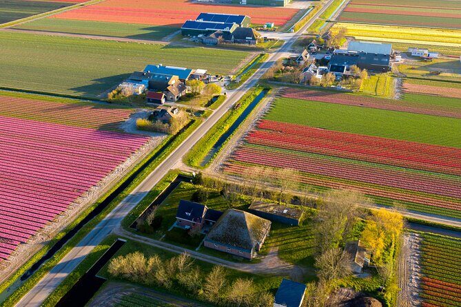 Guided Bike Tour along the Dutch Tulip Fields in Noord Holland - Key Points