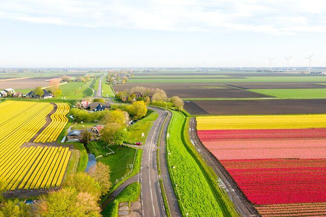 Guided Bike Tour along the Dutch Tulip Fields in Noord Holland - Who This Tour Is Perfect For