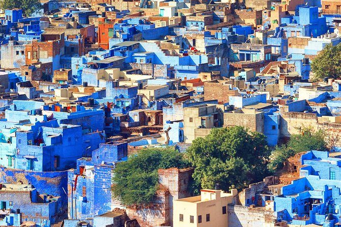 Guided Blue City - Jodhpur Walking Tour Experience with a local - Key Points