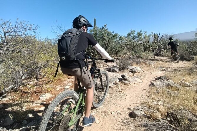 Guided Cactus Forest Mountain Bike Experience in La Ventana - The Experience and Its Highlights
