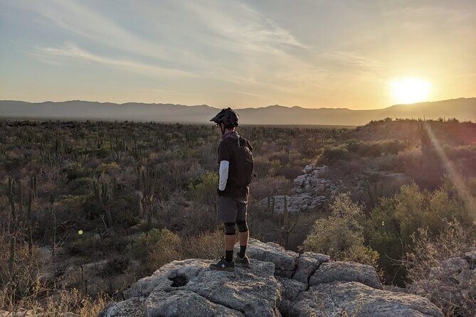 Guided Cactus Forest Mountain Bike Experience in La Ventana - FAQs