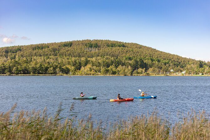 Guided Canoe Tour to the Springs and Highlands of Shirakaba Lake - Who Is This Tour Best For?