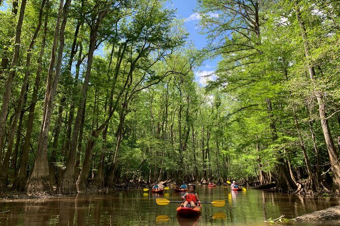Guided Congaree National Park Kayak Tour - Who Will Love This Tour?