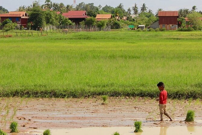 Guided Countryside Bike Tour with Local Insights - A Closer Look at the Itinerary
