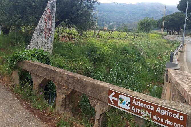 Guided Cycle Tourism Wine Tour by E-Bike on the Island of Elba "Arrighi" - The Sum Up