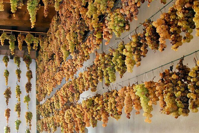 Guided Cycle Tourism Wine Tour by E-Bike on the Island of Elba "Arrighi" - FAQ
