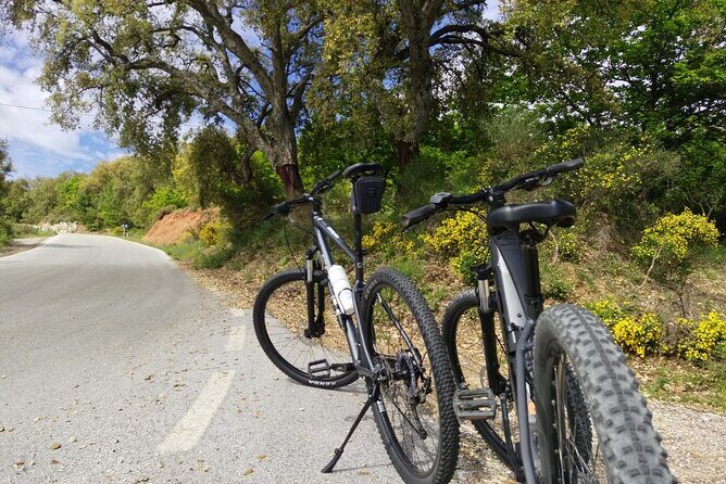 Guided Cycling - Blue Village Ronda - Moderate Level Difficulty - Why This Tour Is a Great Choice
