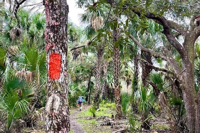 Guided Day Hike Through Florida's wild Backcountry. - What Travelers Can Expect from the Experience