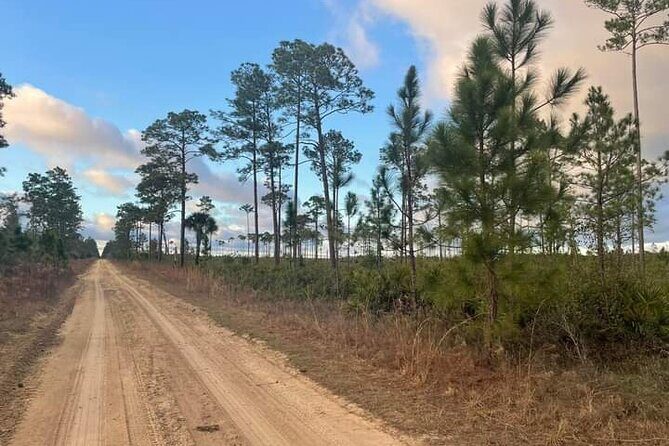 Guided Day Hike Through Florida's wild Backcountry. - FAQ
