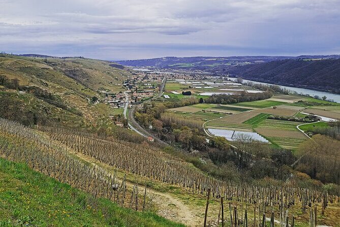 Guided Day Tour and Wine Tasting Northern Rhône Valley - The Value for Money