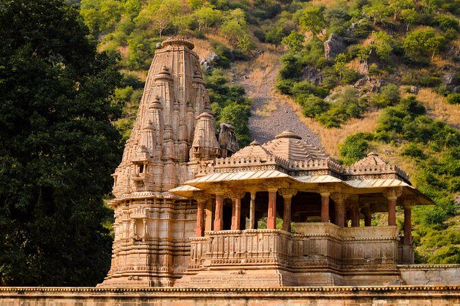 Guided Day Trip to Abhaneri & Haunted Bhangarh from Jaipur - Final Thoughts: Is This Tour Right for You?