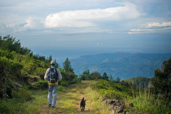 Guided Devils Staircase Trekking tour with lunch - Key Points