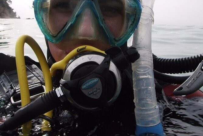 Guided dive for certified divers - Introduction