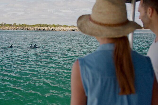 Guided Dolphin Eco-Cruise in Koombana Bay - Key Points