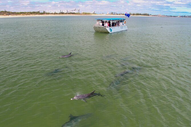 Guided Dolphin Eco-Cruise in Koombana Bay - Overview of the Experience