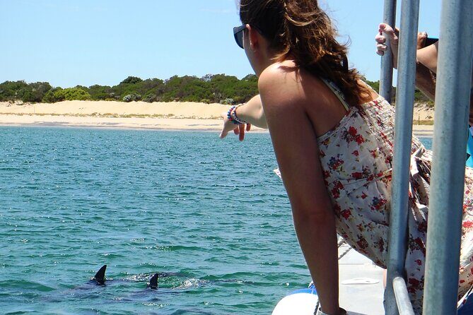 Guided Dolphin Eco-Cruise in Koombana Bay - What Travelers Say
