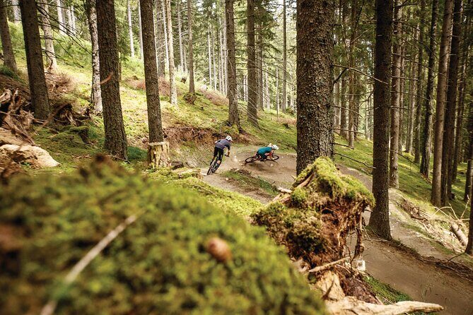 Guided downhill biking at Bikepark Innsbruck - Key Points