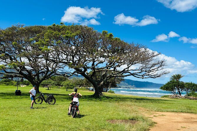 Guided E-Bike Tour in North Shore - Key Points