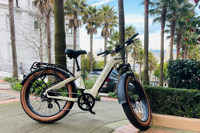 Guided E Bike Tour in San Francisco - Key Points