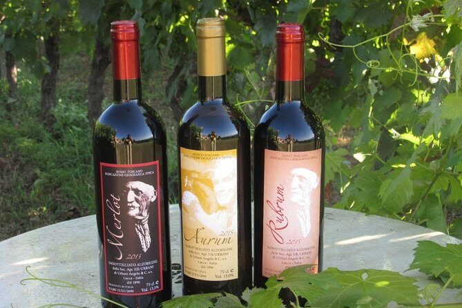 Guided E-Bike Tour with Wine Tasting from Lucca - Frequently Asked Questions