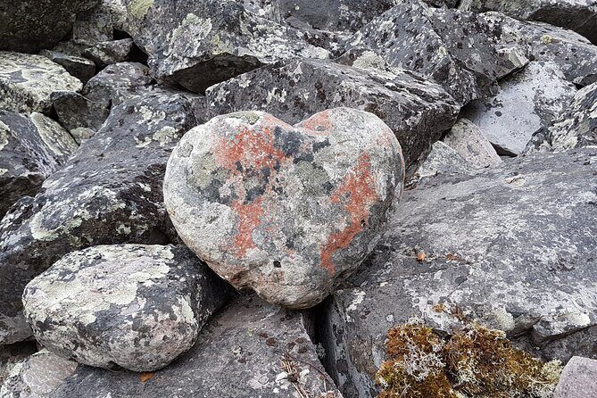 Guided easy hike in Finland deepest gorge in Pyhä-Luosto National Park - What Reviewers Say