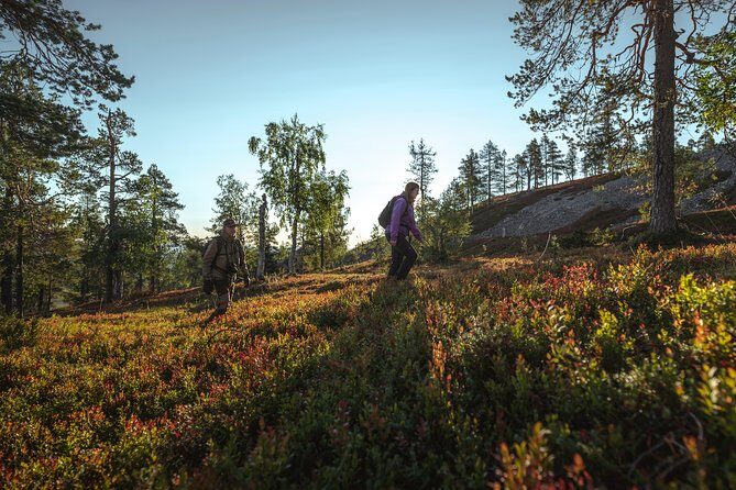 Guided easy hike in Finland deepest gorge in Pyhä-Luosto National Park - Who Is This Tour Best For?
