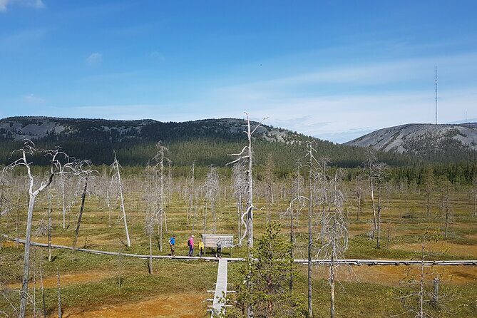 Guided easy hike in Finland deepest gorge in Pyhä-Luosto National Park - The Sum Up