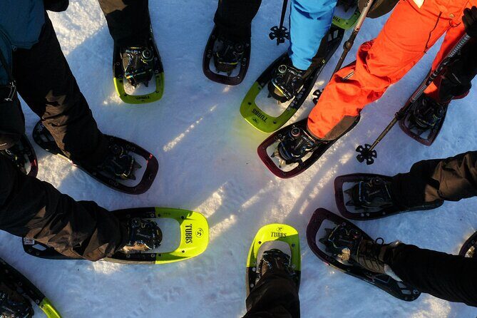 Guided easy snowshoeing with a visit to local café - Key Points