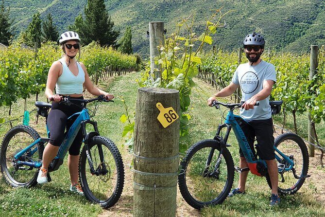 Guided eBike Wine Tour Ride to the Vines - Key Points