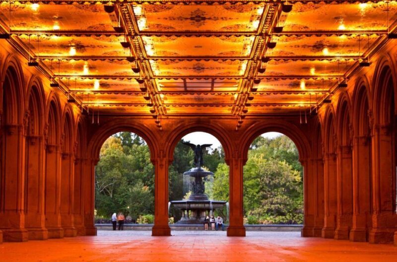 Guided Economy Pedicab Tour in Central Park - An In-Depth Look at the Central Park Pedicab Experience