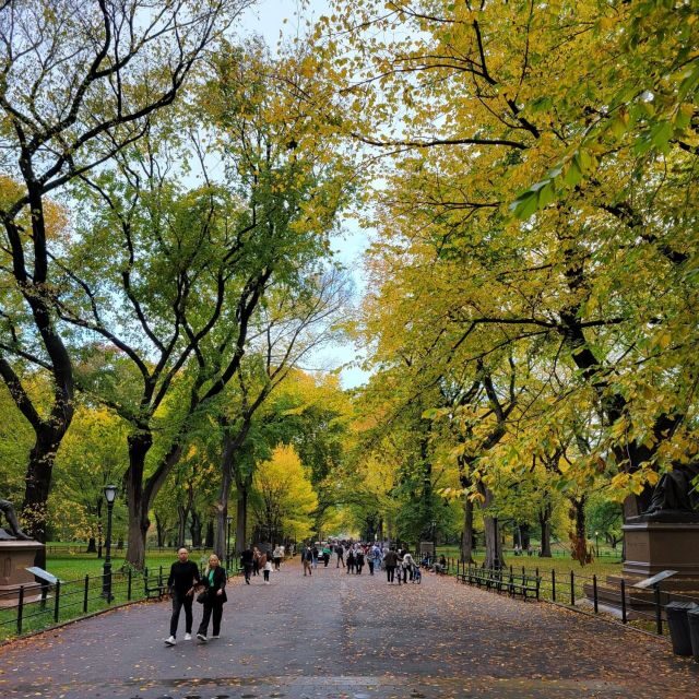 Guided Economy Pedicab Tour in Central Park - The Sum Up